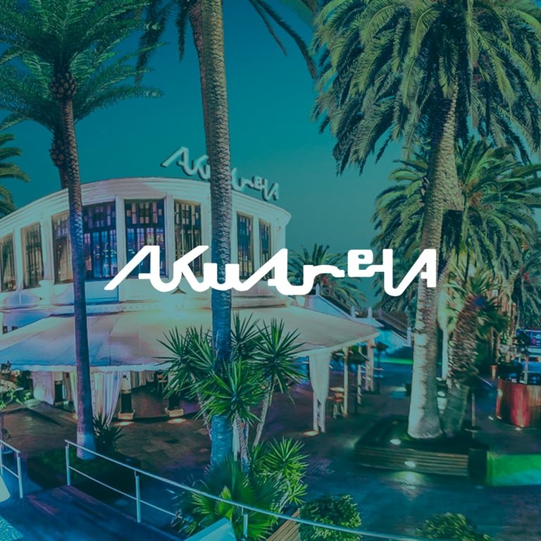 Akuarela Playa Valencia beach club — nightlife by the sea